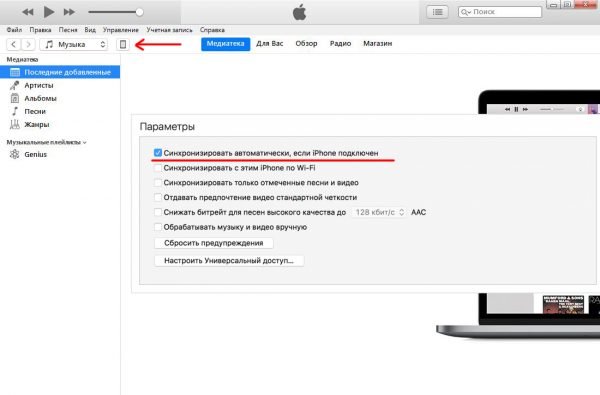 Главное окно iTunes
