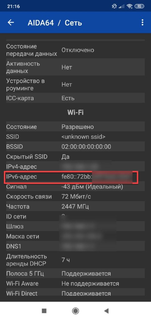 AIDA64 Внутренняя IP