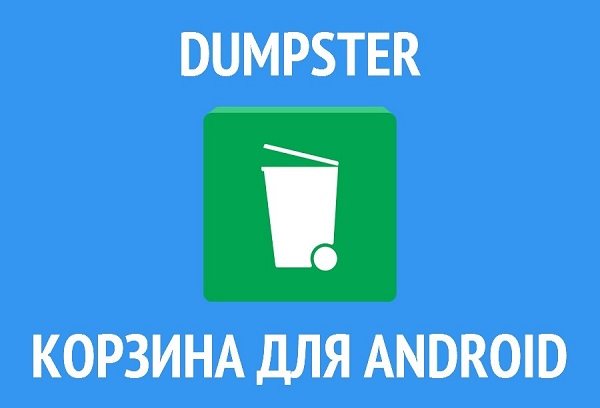 Бин